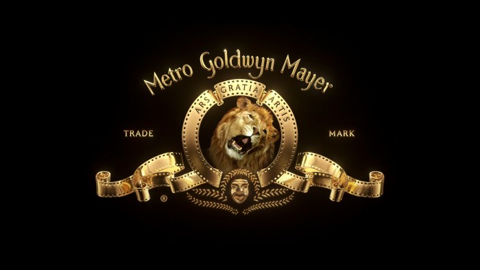 Mayer goldwyn