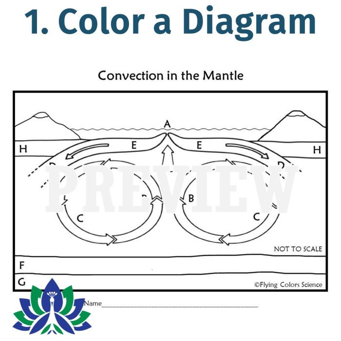 Convection in the mantle worksheet