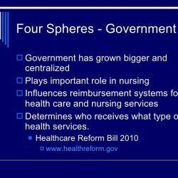 Four spheres of political action in nursing