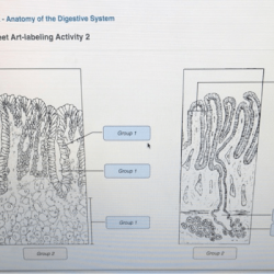 Question transcribed text show identify structures part