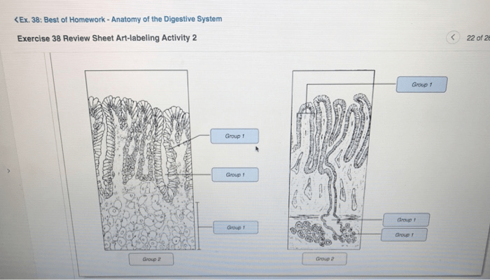 Question transcribed text show identify structures part