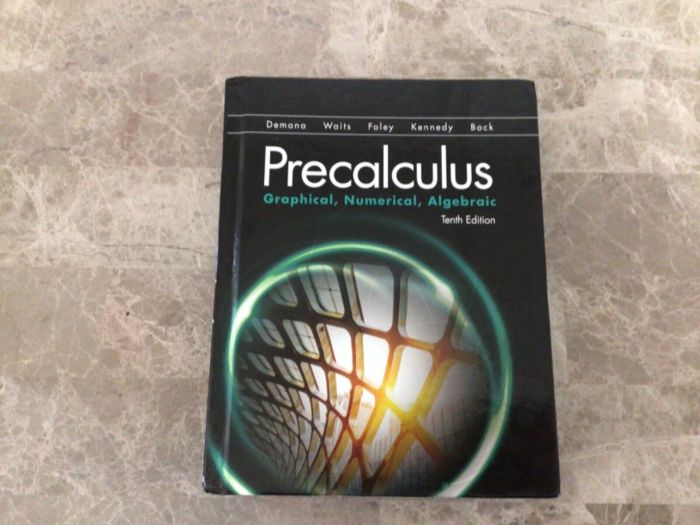 Precalculus graphical numerical algebraic 10th edition